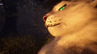 The Predator And Its Prey ( Wild Life )