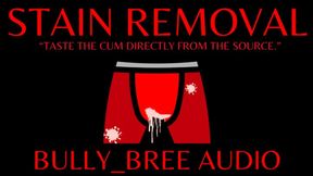 Stain Removal Audio