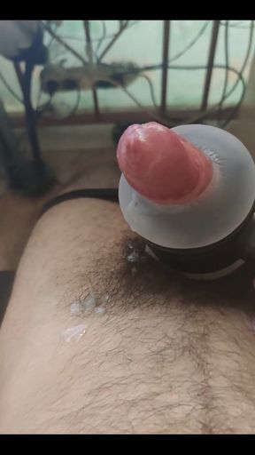 The New Toy