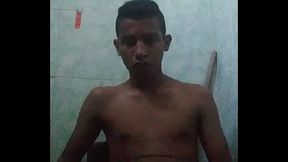 Paja jjpep7