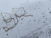 Amateur Twink Brian Public Urination Spelling Name in Snow