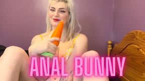 Anal Bunny - Fucking My Pussy and Asshole with my thick 10 inch carrot dildo