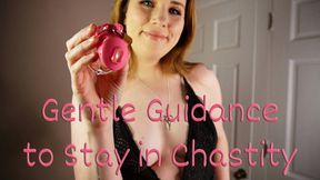 Gentle and encouraging guidance to help you stay in chastity	266