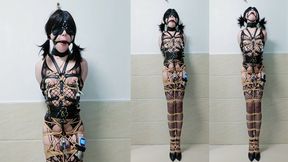 ANH-10 Anhuan high heel standing training electric play cum