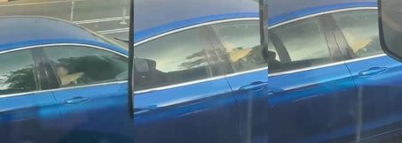 Trucker Spots Naked Wanker Driving