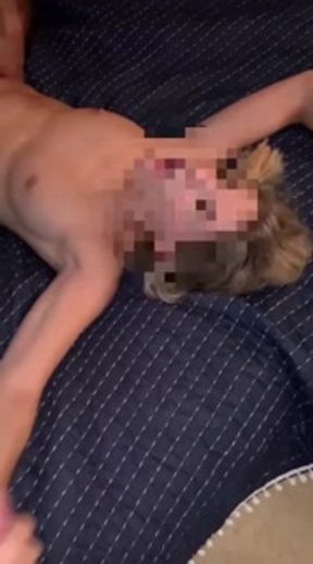 CUCKED