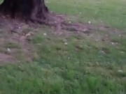Becerro a la salida del boliche!