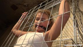 Angel Diamonds Caged Bound Gagged