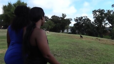 Amateur Black Girls Get Freaky In Public Park