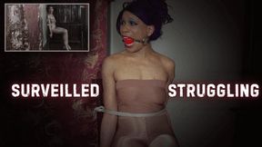 Surveilled Struggling