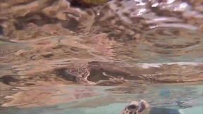 Fresh blonde babe, Melody Marks was playing with her tits while her boyfriend was driving