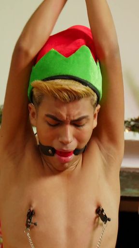 My Twinkie Elf 2 (christmas Special)