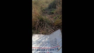 Indian Village highway outdoor sex 2024