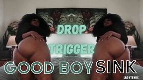 Good Boy Sink Mesmerizing Trigger Implant