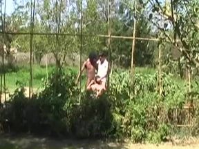 Colossal Cocks Ultimate Collection