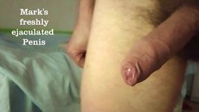 Naked Bed Hump Masturbation