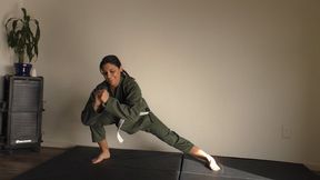 KARATE GIRL, MJ DOMINO (4K)