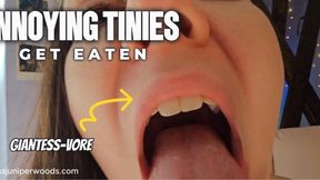 ANNOYING TINIES GET EATEN- GIANTESS VORE