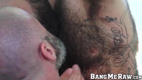 Hairy daddy is all about rough raw pounding his partner