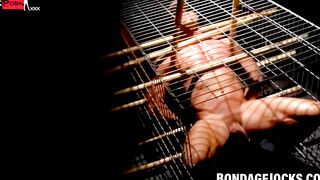 Bondage Submissive's Ball Stretching Ordeal with Dominant Mistress