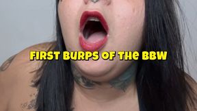 First burps of the BBW by Turbinada New 2026