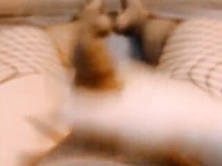 POV: Femboy in Gothic Fishnets Edges & Crushes her trans sweethearts haunches, girlcock and balls - Tgirl masturbation