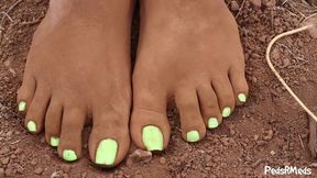 ShortLivedTyranny Barefoot in the Vineyard