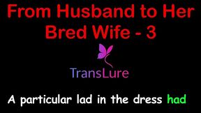 from husband to her bred wife – simulated pregnancy & full creampie surrender (taboo audio fantasy) - 3