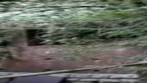 Young Tender Trannies 15 3