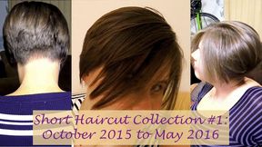 Haircut Collection #1: Oct 2015-May 2016 | Short Hair | Brunette | Clara Crisp | 720