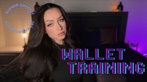 Wallet Training