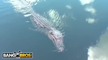 Tessa Taylor's Everglades Adventure with Bang Bros