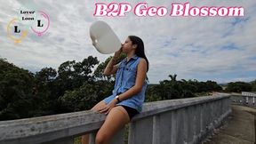 Nicoll blow to pop Geo Blossom balloons for the first time