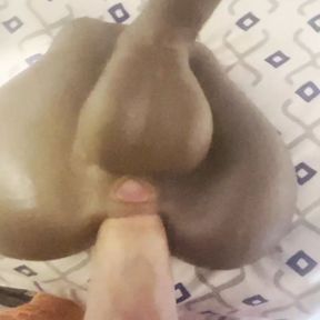 White cock fucking black beauties ass