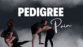 Pedigree Pain (4k)