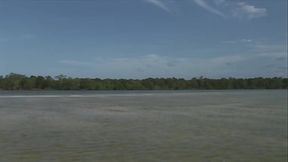 Brazilian Barbie Banks Gets DP'_d In The Water