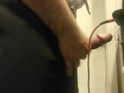 Whipping my half hard cock out during work for a sec