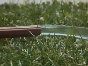 Doggy Style Poolside Classic! (first Scene, 8m26)