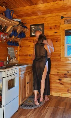 Cabin Kitchen - Room View