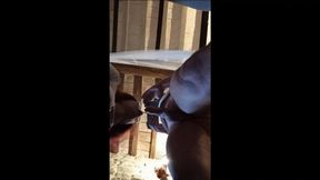 Amazing blowjob with glasses, pov view and huge load of cum on my mouth