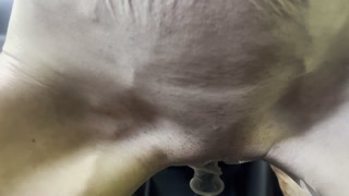 Risky Naked Gear Stick/Shift Ride in Public