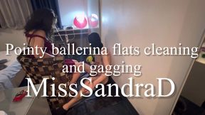 Pointy ballerina flats cleaning and gagging