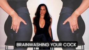 Day 1: Rewiring Your Piggy Cock