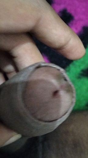 Desi dick