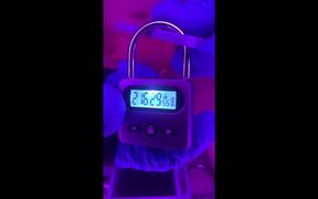 Lunathesissy's Debut 10 Day Chastity Lockup