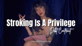 Stroking Is A Privilege- Debt Contract