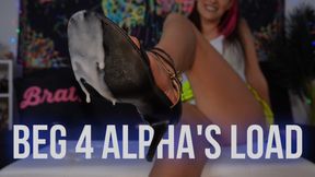 Beg 4 Alpha’s Load