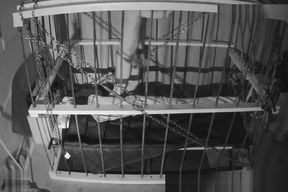 The Cage Cam May 7 2018 0722 a new day in the life of slave andrew