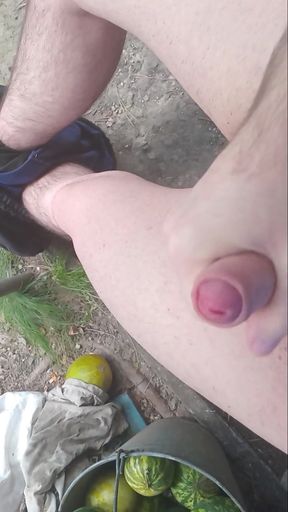 Masturbation of a Beautiful Bisexual Penis Day 8   Clip 1