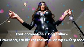 Foot domination 3: Dog Collar - Crawl and jerk off for the smell of my sweaty foot
